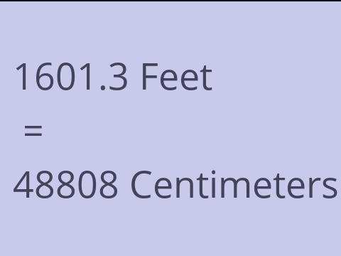 1601.3 FEET TO CM