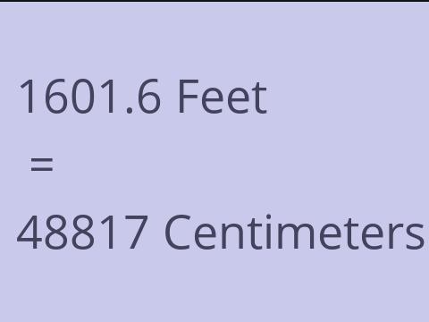 1601.6 FEET TO CM