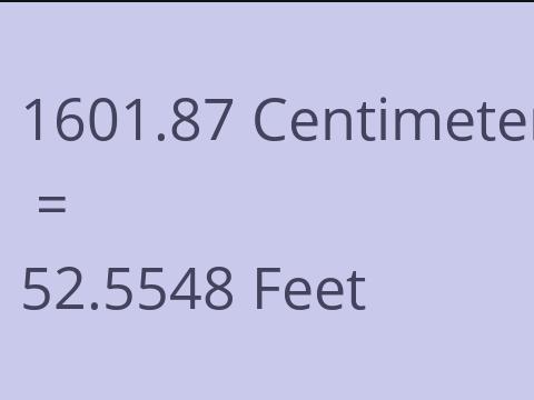 1601.87 CM TO FEET