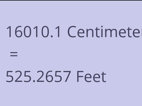 16010.1 CM TO FEET