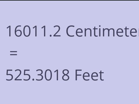 16011.2 CM TO FEET