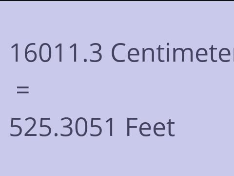 16011.3 CM TO FEET