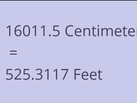 16011.5 CM TO FEET