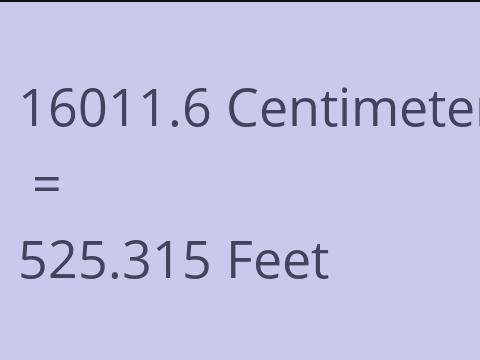16011.6 CM TO FEET