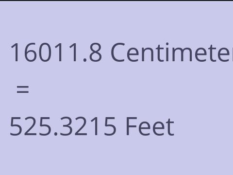 16011.8 CM TO FEET