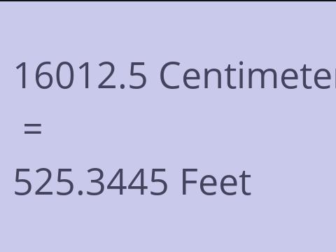 16012.5 CM TO FEET