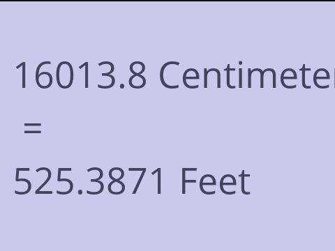 16013.8 CM TO FEET