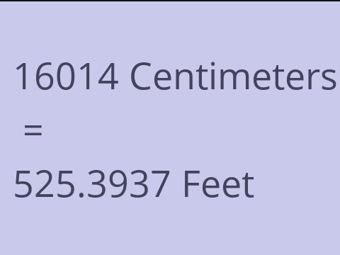 16014 CM TO FEET