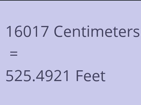 16017 CM TO FEET