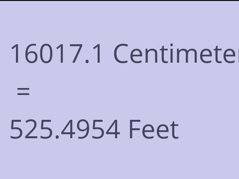 16017.1 CM TO FEET