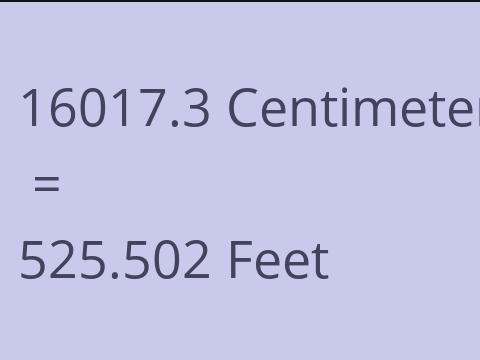 16017.3 CM TO FEET