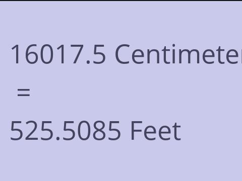 16017.5 CM TO FEET