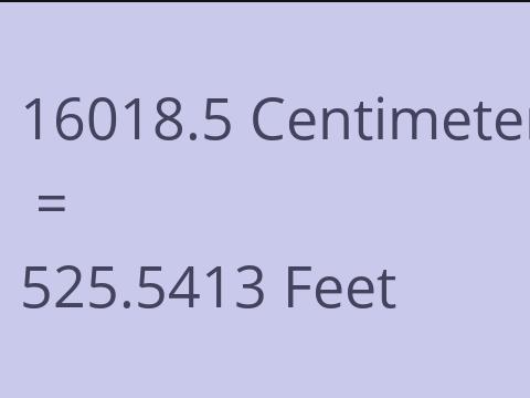 16018.5 CM TO FEET