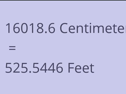 16018.6 CM TO FEET