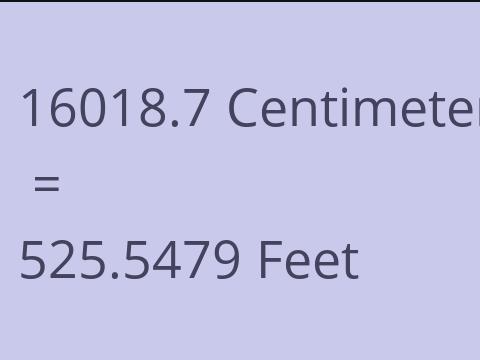 16018.7 CM TO FEET