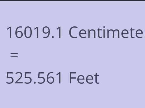 16019.1 CM TO FEET