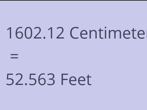 1602.12 CM TO FEET