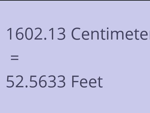 1602.13 CM TO FEET