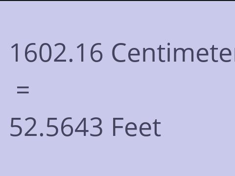 1602.16 CM TO FEET