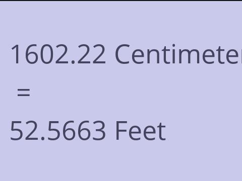 1602.22 CM TO FEET