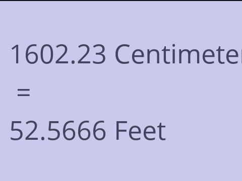 1602.23 CM TO FEET