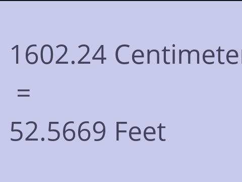 1602.24 CM TO FEET