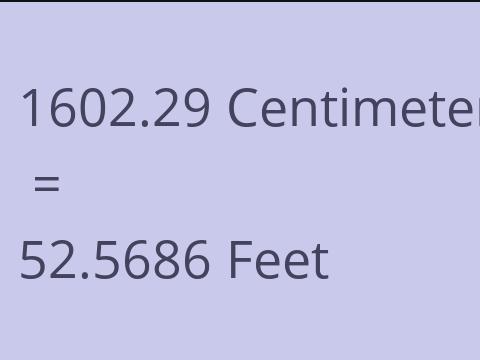 1602.29 CM TO FEET