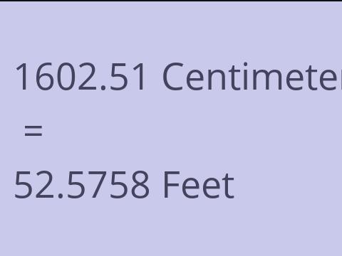 1602.51 CM TO FEET