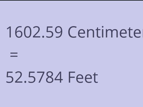 1602.59 CM TO FEET