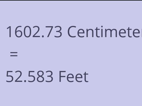 1602.73 CM TO FEET