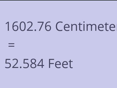 1602.76 CM TO FEET