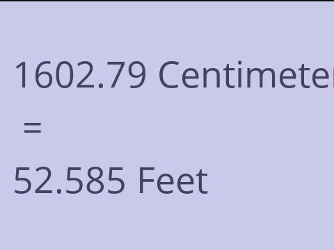 1602.79 CM TO FEET