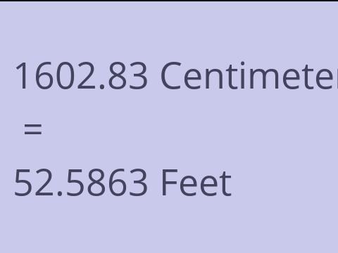 1602.83 CM TO FEET