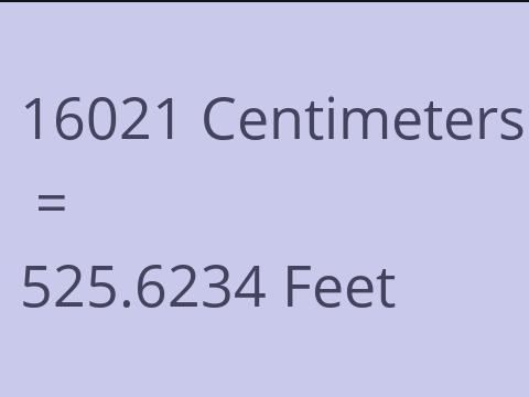 16021 CM TO FEET