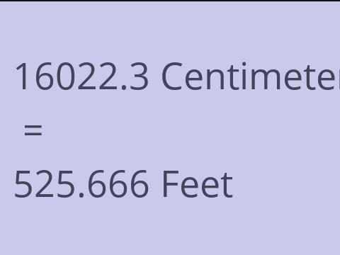 16022.3 CM TO FEET