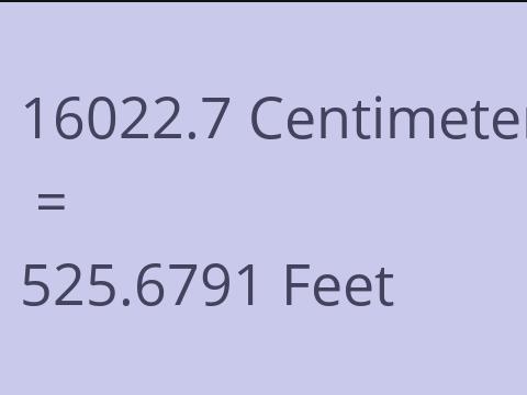 16022.7 CM TO FEET