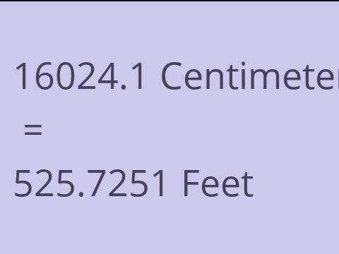 16024.1 CM TO FEET