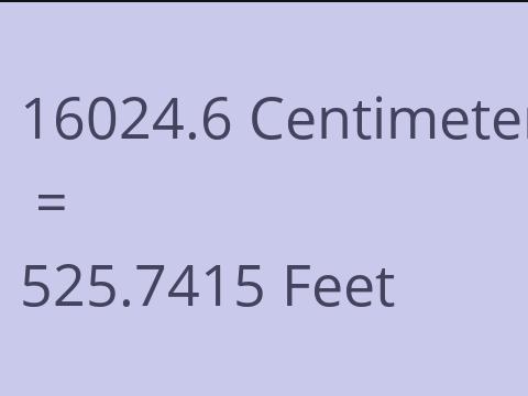 16024.6 CM TO FEET