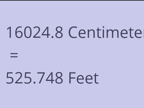 16024.8 CM TO FEET