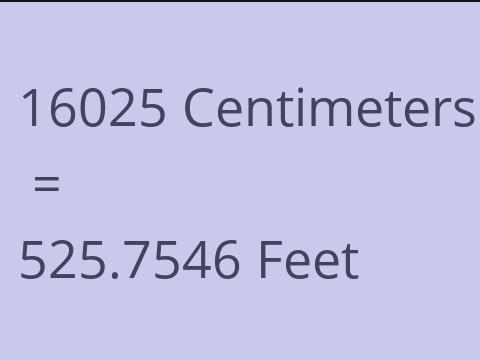 16025 CM TO FEET