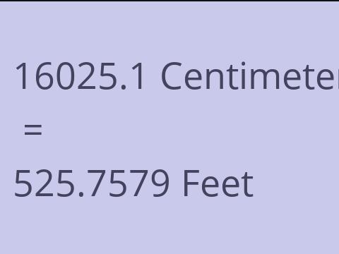 16025.1 CM TO FEET