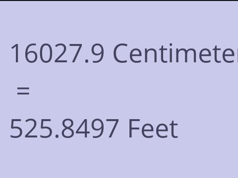 16027.9 CM TO FEET