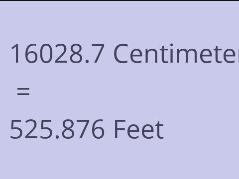 16028.7 CM TO FEET
