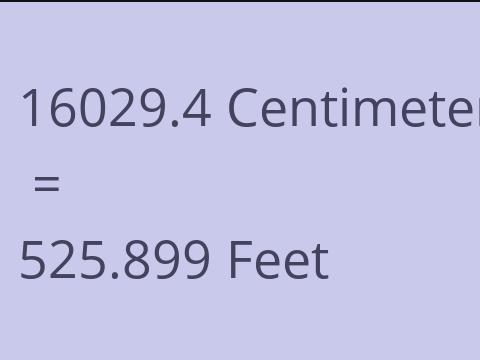 16029.4 CM TO FEET