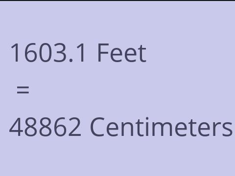 1603.1 FEET TO CM