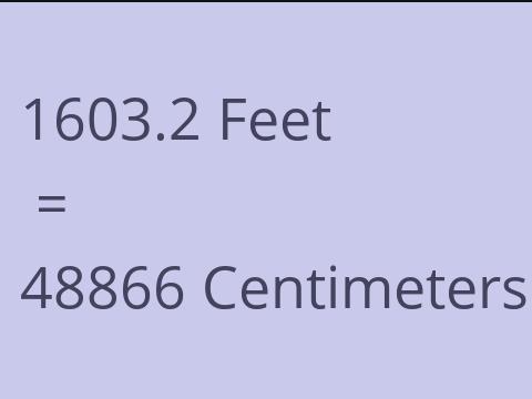 1603.2 FEET TO CM