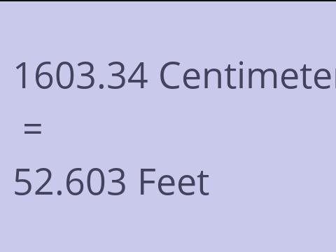 1603.34 CM TO FEET