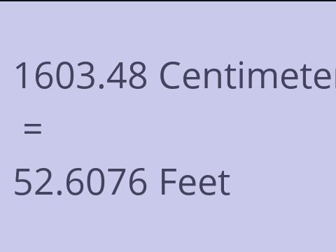 1603.48 CM TO FEET