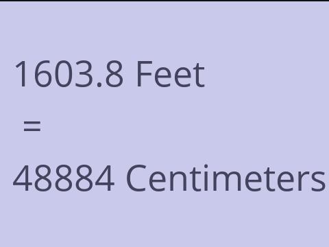 1603.8 FEET TO CM