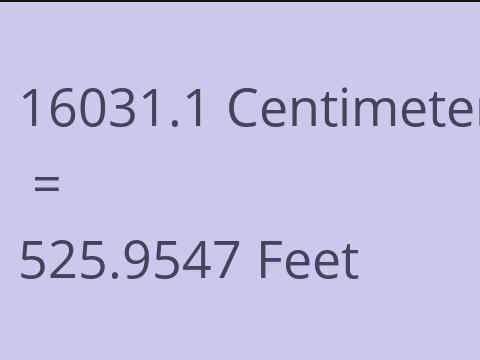 16031.1 CM TO FEET